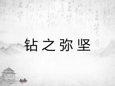 钻之弥坚 钻之弥坚