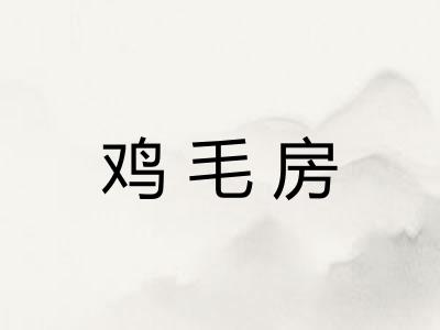 鸡毛房 鸡毛房