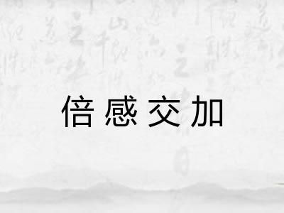 倍感交加 倍感交加