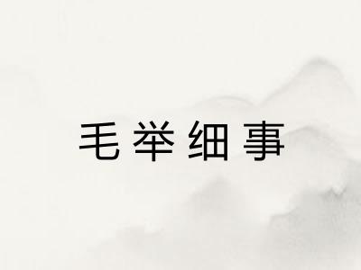 毛举细事