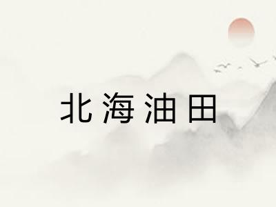 北海油田 北海油田