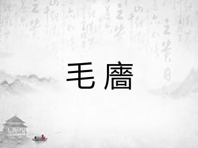 毛廧