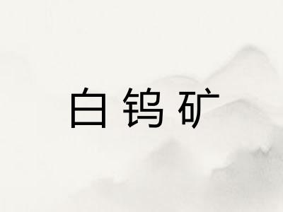 白钨矿 白钨矿
