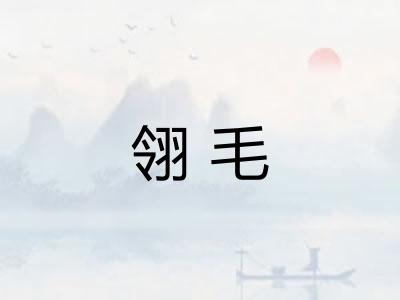 翎毛