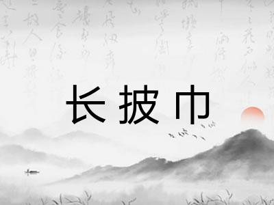 长披巾 长披巾