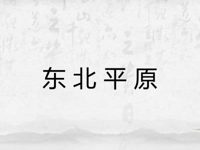 东北平原 东北平原