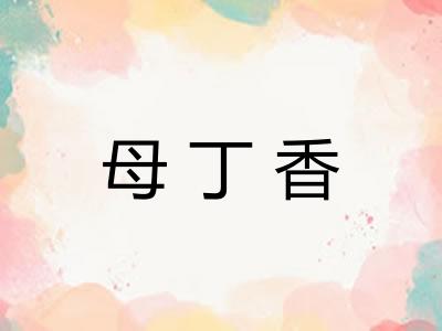 母丁香 母丁香