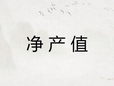 净产值 净产值