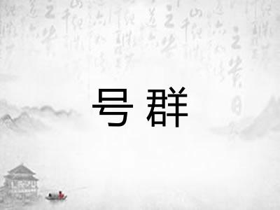号群 号群
