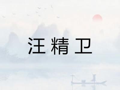汪精卫 汪精卫