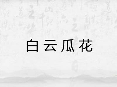 白云瓜花 白云瓜花