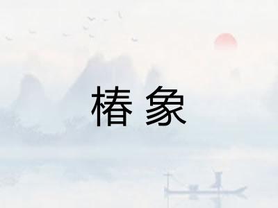 椿象 椿象