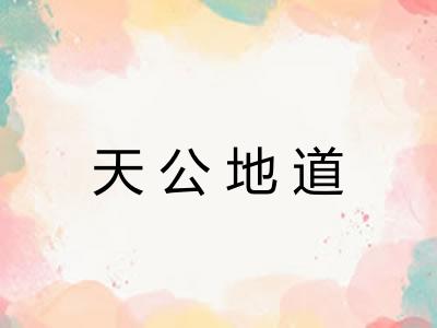 天公地道