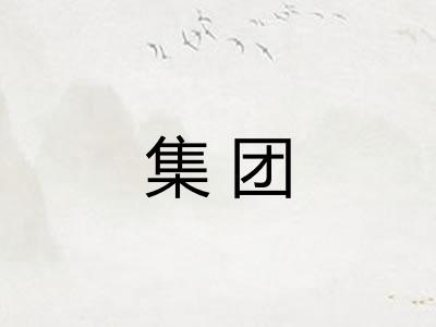 集团 集团