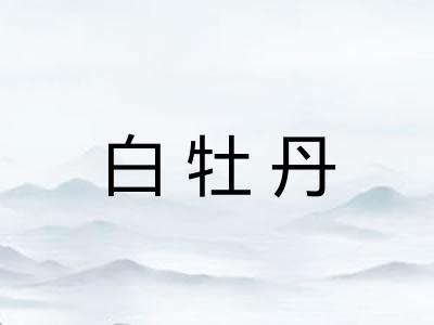 白牡丹 白牡丹