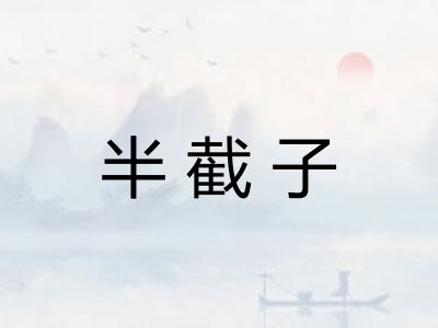 半截子 半截子