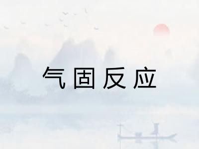 气固反应 气固反应