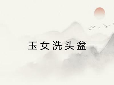 玉女洗头盆