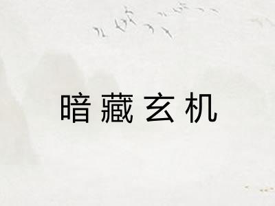 暗藏玄机 暗藏玄机