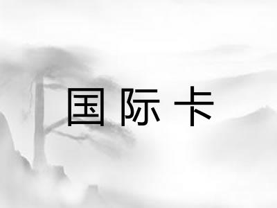 国际卡 国际卡