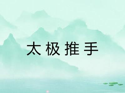 太极推手 太极推手