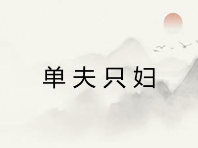 单夫只妇