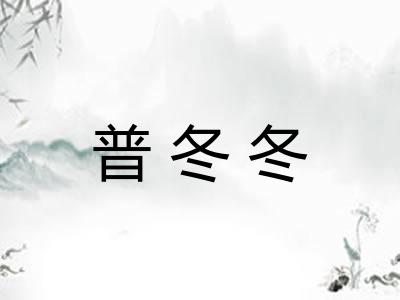 普冬冬