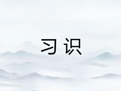 习识 习识