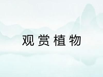 观赏植物 观赏植物