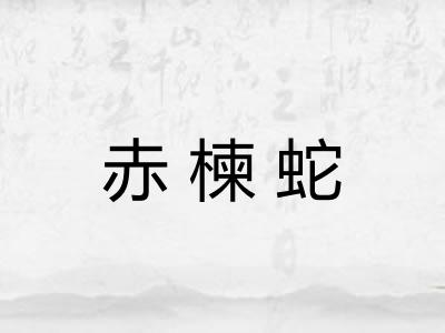赤楝蛇