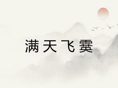 满天飞霙 满天飞霙