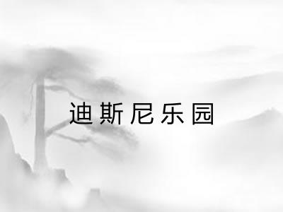 迪斯尼乐园 迪斯尼乐园