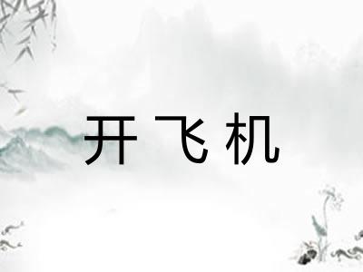 开飞机 开飞机
