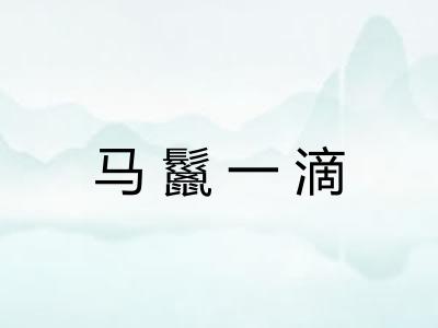 马鬣一滴