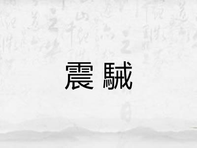 震駴 震駴