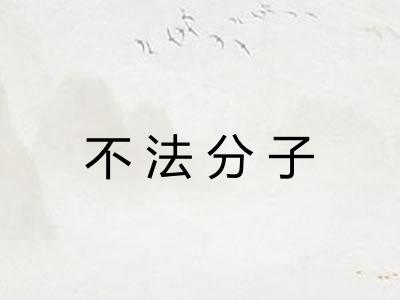 不法分子 不法分子