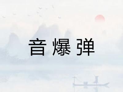 音爆弹 音爆弹
