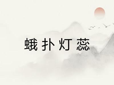 蛾扑灯蕊 蛾扑灯蕊