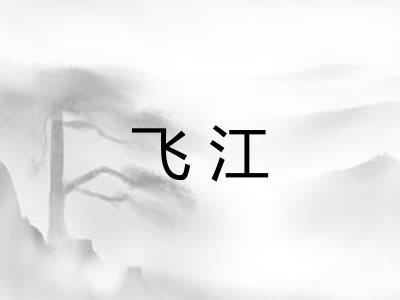 飞江