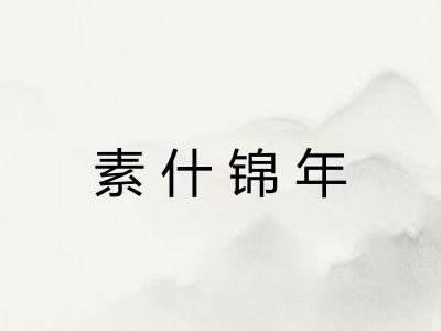 素什锦年 素什锦年