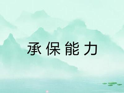 承保能力 承保能力