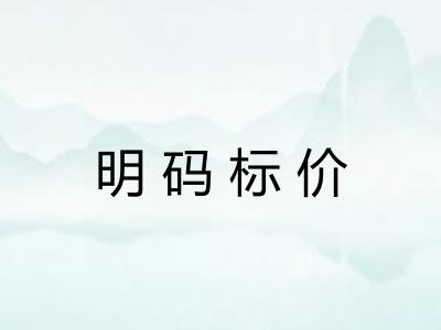 明码标价 明码标价