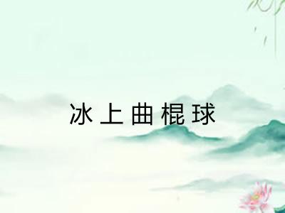 冰上曲棍球