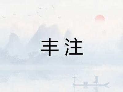 丰注