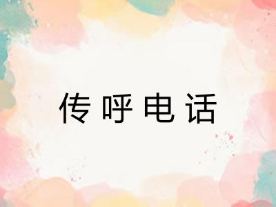 传呼电话
