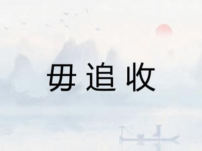毋追收