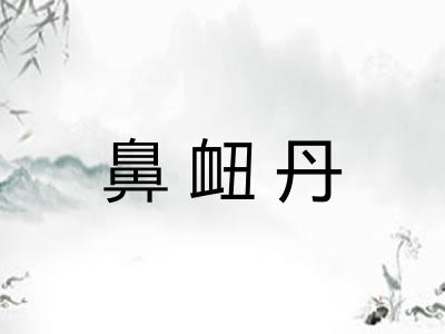 鼻衄丹
