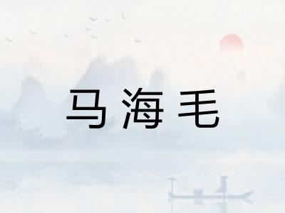 马海毛