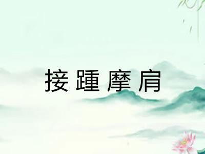 接踵摩肩 接踵摩肩