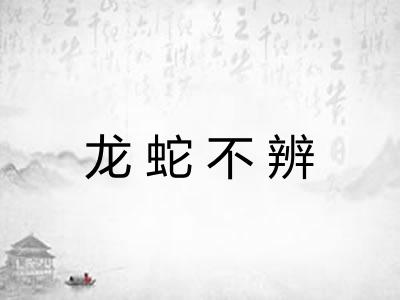 龙蛇不辨 龙蛇不辨